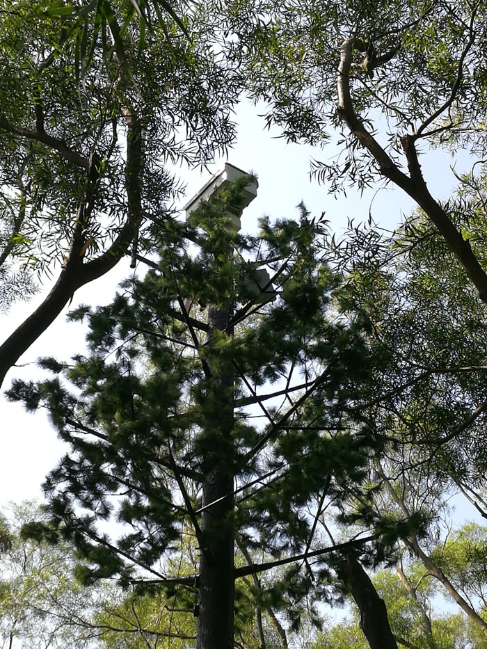 森林防火监控预警系统